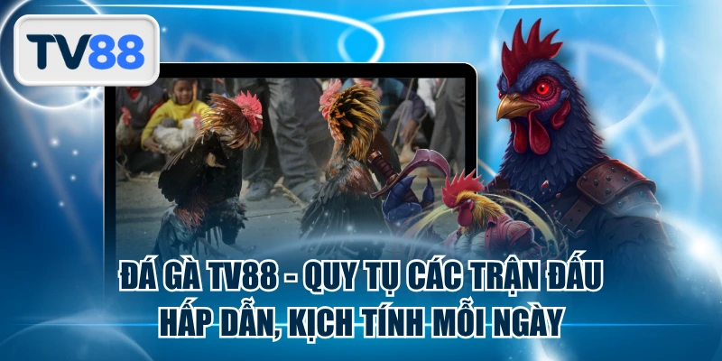 Đá Gà TV88 - Quy Tụ Các Trận Đấu Hấp Dẫn, Kịch Tính Mỗi Ngày