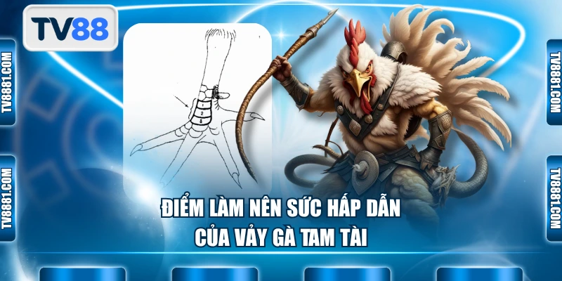 Điểm làm nên sức hấp dẫn của vảy gà Tam Tài