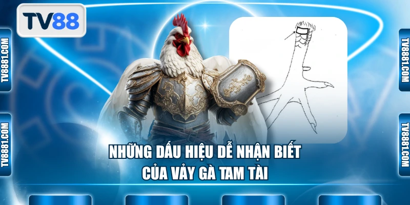 Những dấu hiệu dễ nhận biết của vảy gà Tam Tài
